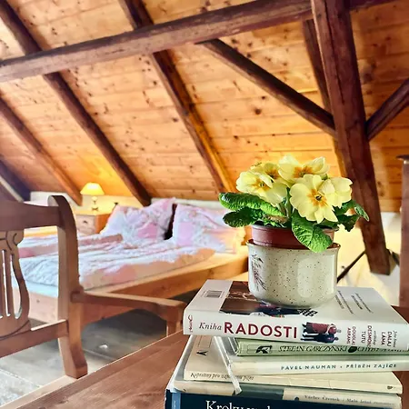 Katerina Appartement Nadejkov